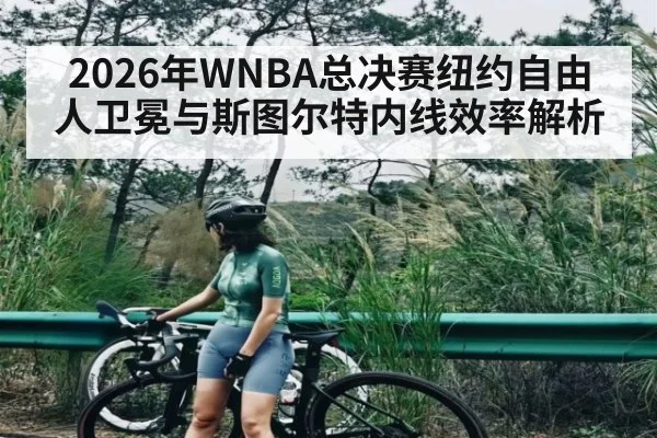 2026年WNBA总决赛纽约自由人卫冕与斯图尔特内线效率解析